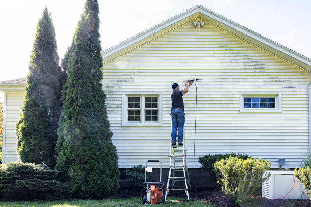 Best Roof Pressure Washing  in East Valley, NV